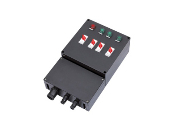 BDMX8050-系列防爆防腐控制箱（ⅡB、ⅡC、tD）